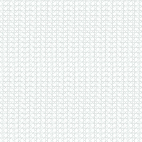 BL70918 Wicker Screen Print with Raised Inks Wallpaper 