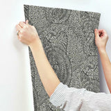 BO6654 Kashmir Dreams Paisley Wallpaper 