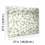 BO6681 Free Spirit Mocha Wallpaper 