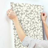 BO6681 Free Spirit Mocha Wallpaper 