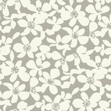 BO6681 Free Spirit Mocha Wallpaper 