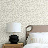 BO6682 Free Spirit Grey Wallpaper 