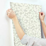 BO6682 Free Spirit Grey Wallpaper