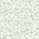 BO6682 Free Spirit Grey Wallpaper 