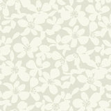 BO6683 Free Spirit Pearl Wallpaper