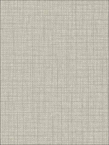 BV30308 Woven Raffia Textured Gray Wallpaper