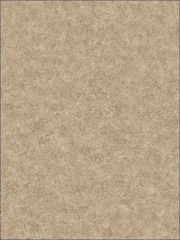 BV30607 Roma Leather Textured Wallpaper