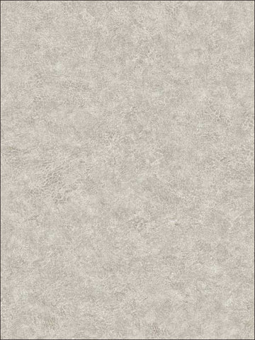 BV30628 Roma Leather Textured Wallpaper