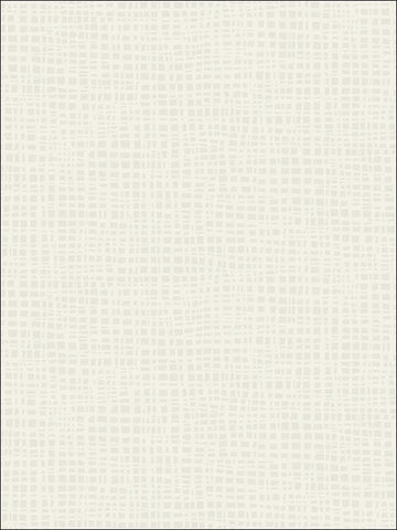 BW21201 Woven Grass Faux Finish Wallpaper