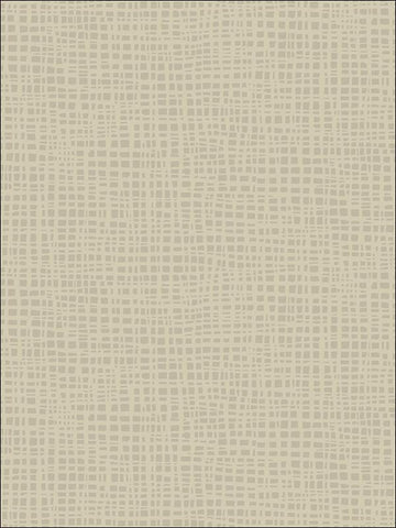 BW21208 Woven Grass Faux Finish Wallpaper