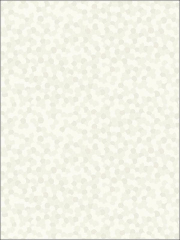 BW21711 Sequins Wallpaper