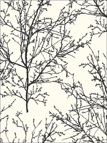 BW22400 Winter Branches Wallpaper