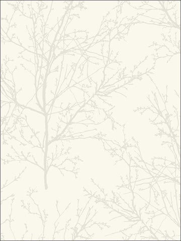 BW22407 Winter Branches Wallpaper