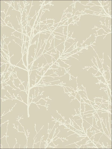 BW22408 Winter Branches Wallpaper