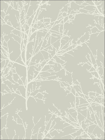 BW22410 Winter Branches Wallpaper