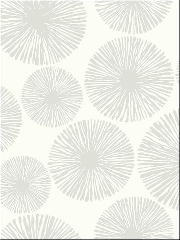 BW22501 Sunburst Wallpaper