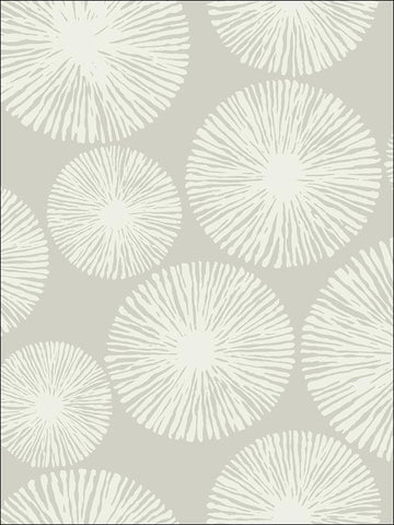 BW22502 Sunburst Wallpaper