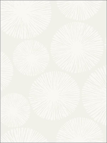 BW22510 Sunburst Wallpaper