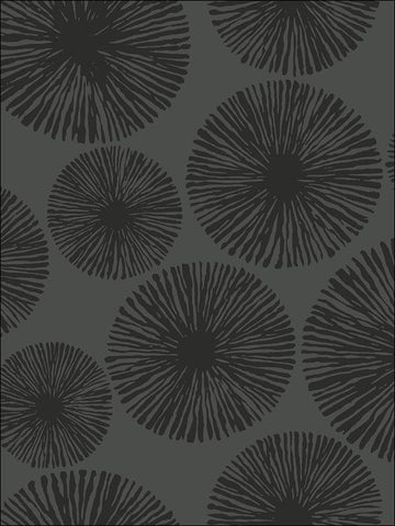 BW22511 Sunburst Wallpaper