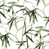 BW3842 Bamboo Ink Wallpaper