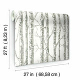 BW3901 Paper Birch Wallpaper