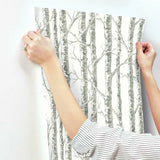 BW3901 Paper Birch Wallpaper