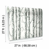 BW3902 Paper Birch Wallpaper