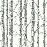 BW3902 Paper Birch Wallpaper