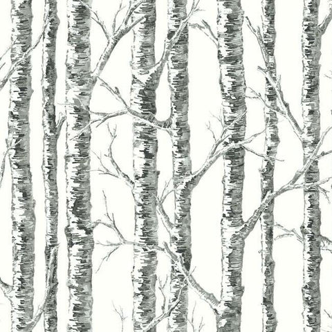 BW3902 Paper Birch Wallpaper