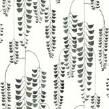 BW3943 Deco Wisteria Wallpaper