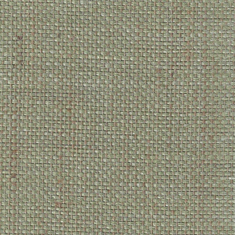 BX10043 Nobora Paper Weave Sage Tan Wallpaper 