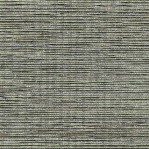 BX10170 Venezia Grass Brushed Silver Sage Wallpaper 