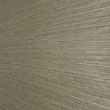 CB13104 Taupe Bronze brown natural sisal Grasscloth Wallpaper textured wallcovering roll
