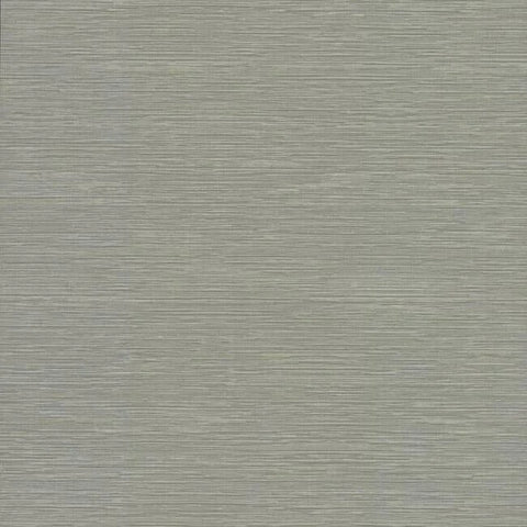 CD1035N Ramie Weave High Performance Wallpaper