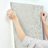 CI2324 Gilded Confetti Silver Grey Wallpaper