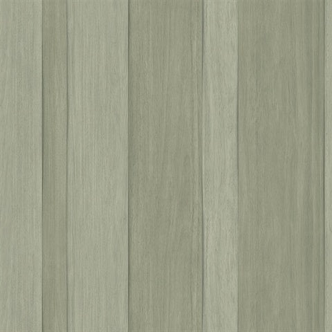 CL20804 Sage Radnor Faux Wood Plank Wallpaper