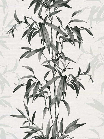 CL31700 Savage Gardens Charcoal Wallpaper