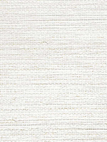 CL50030 Raffia Feather White Wallpaper