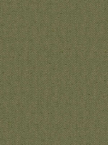 CL70904 Thomas Fern Wallpaper