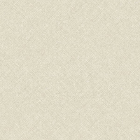 CO1102 Graphic Concrete Beige Wallpaper 
