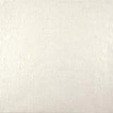 CO2084 Oasis Beige Wallpaper