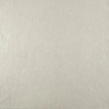 CO2085 Oasis Light Pewter Wallpaper 