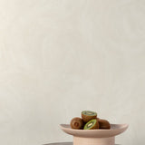 CO3002 Authentic Plaster Plain Beige Wallpaper 