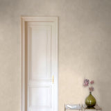 CO3005 Authentic Plaster Plain Beige Wallpaper 