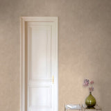 CO3006 Authentic Plaster Plain Brown Wallpaper