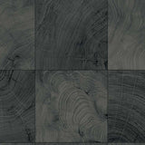 CP91910 Kemi Ash Wallpaper