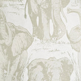 CR22100 Flocking velvet Textured ivory beige off white safari elephant wallpaper roll 3D
