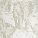 CR22100 Flocking velvet Textured ivory beige off white safari elephant wallpaper roll 3D
