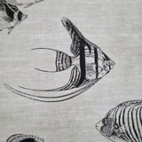 CR70300 Soft beige cream black marine tropical reef fish coastal Nautical Wallpaper roll