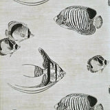 CR70300 Soft beige cream black marine tropical reef fish coastal Nautical Wallpaper roll